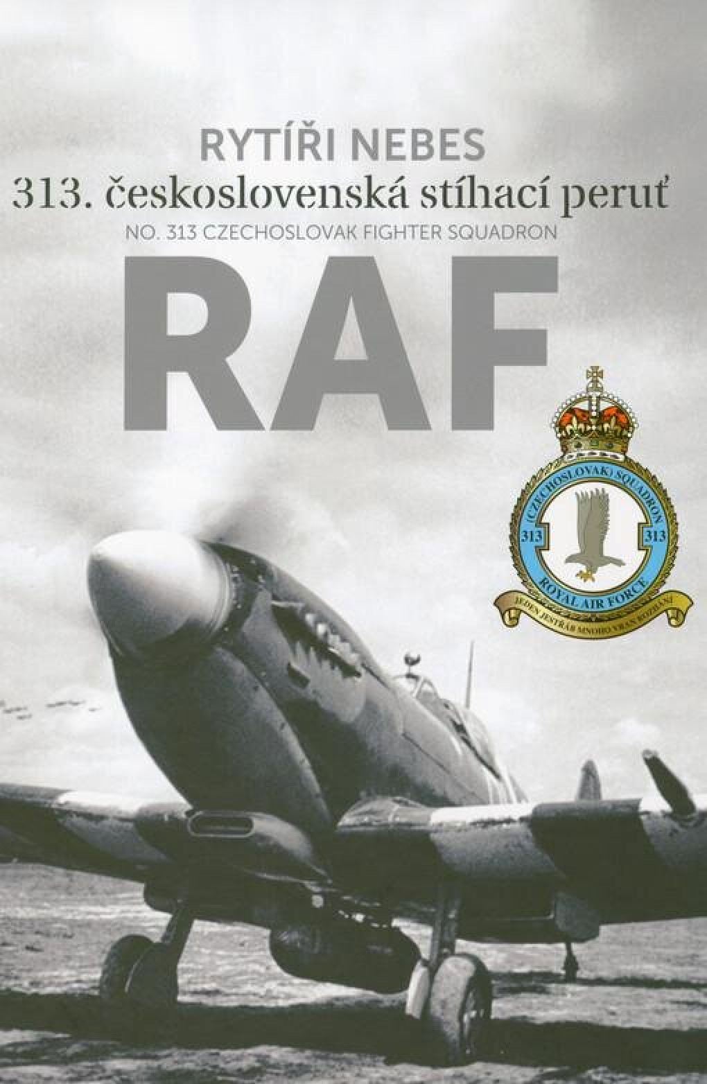 raf_313_peruT.jpg